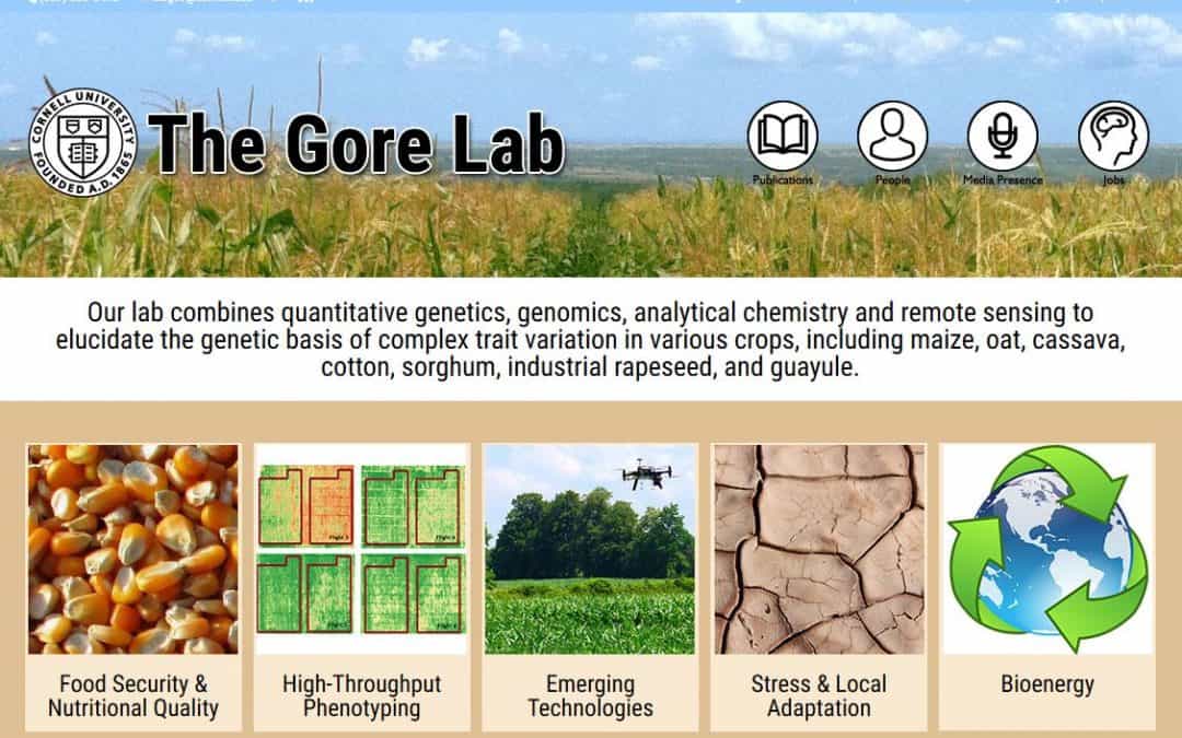 WordPress Design Project – The Gore Lab